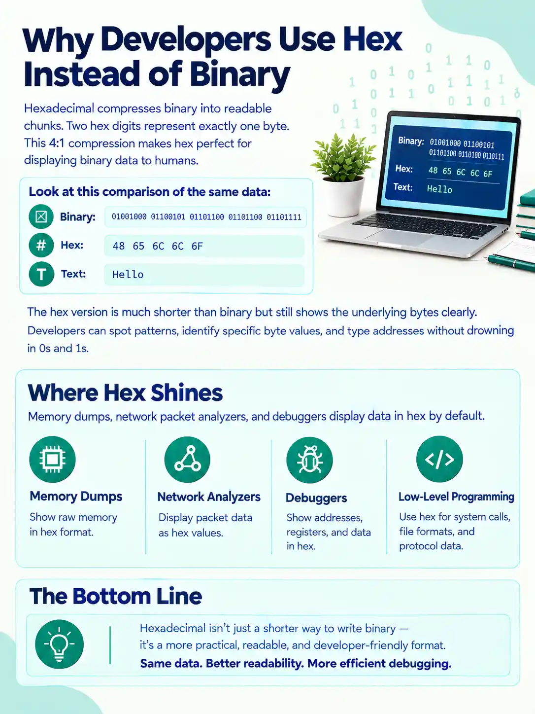 Why Developers Use Hex Instead of Binary